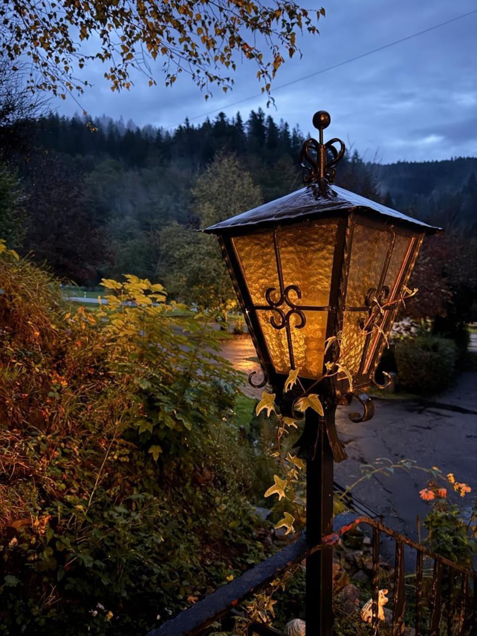 Be Me Black Forest Family Apartment -Zum Letzten G'Stehr Bad Rippoldsau-Schapbach Екстер'єр фото
