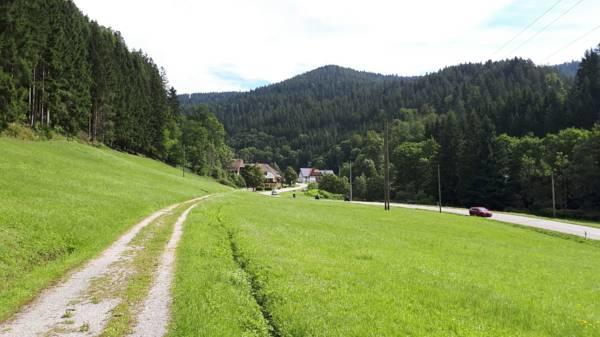 Be Me Black Forest Family Apartment -Zum Letzten G'Stehr Bad Rippoldsau-Schapbach Екстер'єр фото